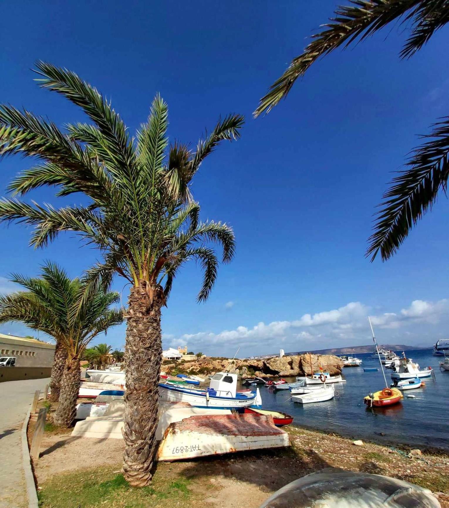 Apartament Alexandro'S Διαμέρισμα Τορεβιέχα Εξωτερικό φωτογραφία