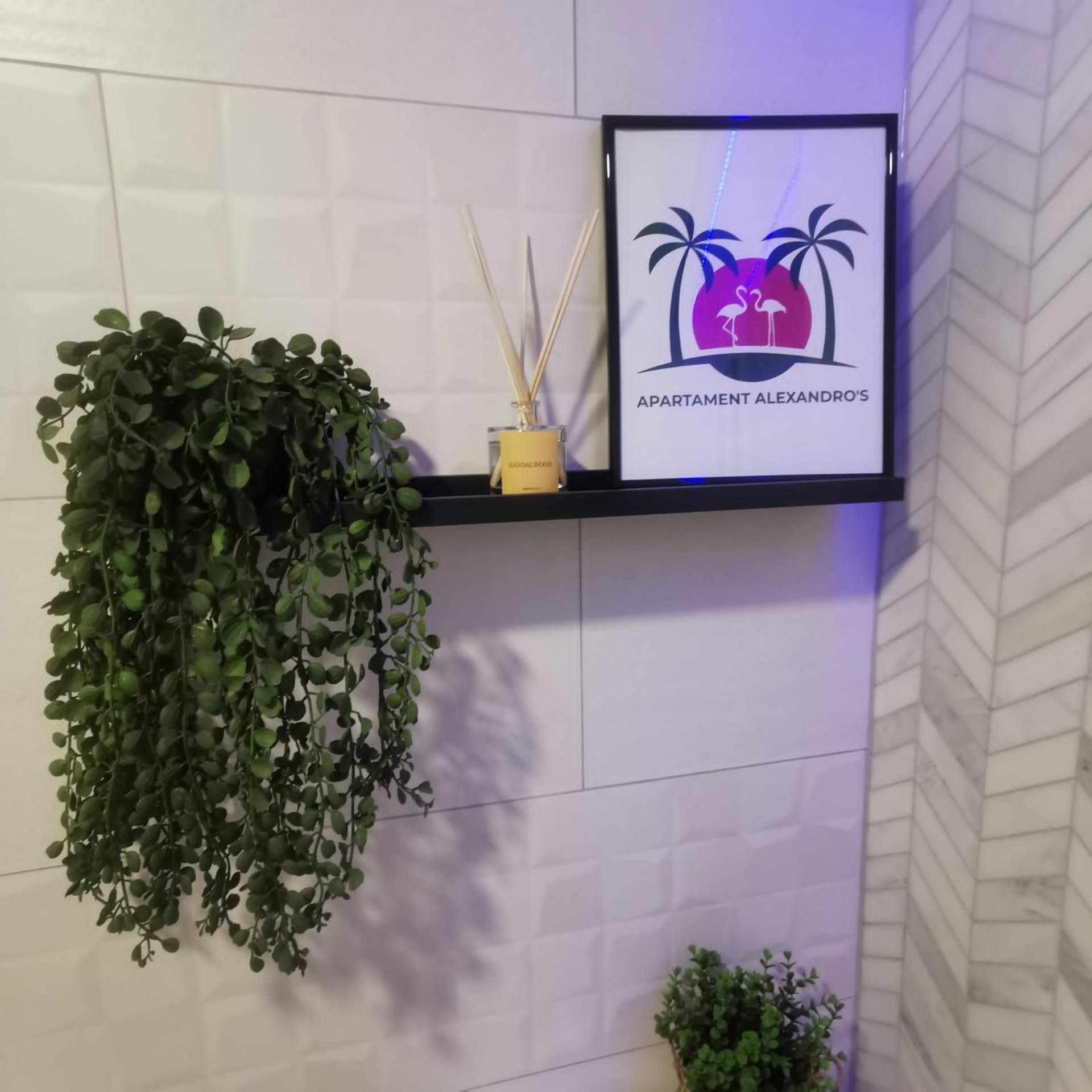 Apartament Alexandro'S Διαμέρισμα Τορεβιέχα Εξωτερικό φωτογραφία